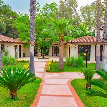 Champion Village Resort