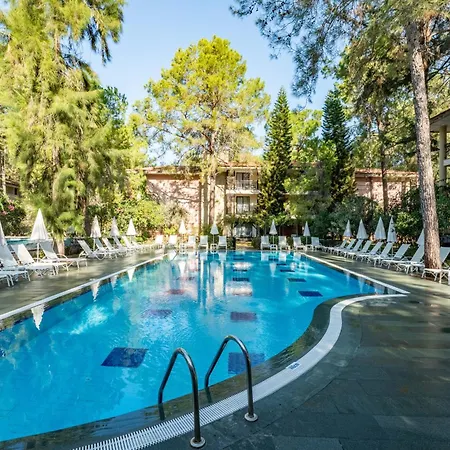 Champion Village Resort