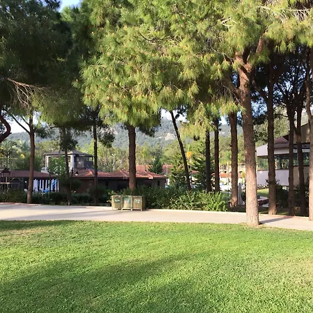 Champion Village Resort