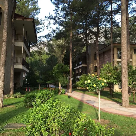 度假村 冠军渡假村酒店 贝尔迪比